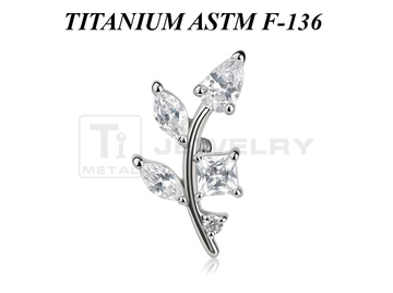 Кластер из титана Ti Metal верба