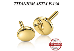 Вставка титановая Steel and Silver золотой диск
